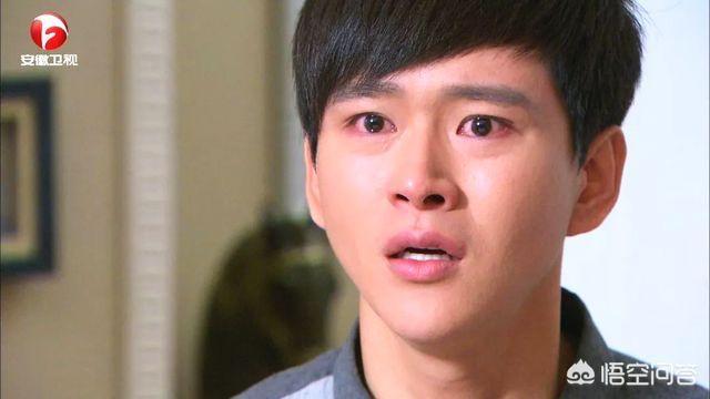 演员刘蓓:如何评价由刘蓓、姚橹、张延等主演的电视剧《你是我的亲人》