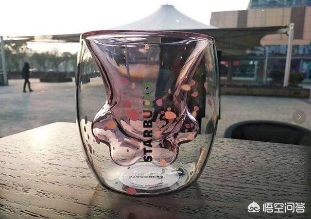 茶杯猫图片:人类为了好看培育出了哪些畸形猫？