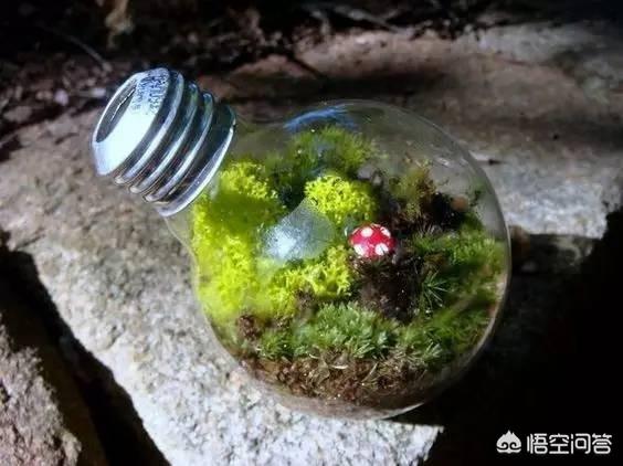 海底一万米有多恐怖:最深海底还有泥巴吗，泥巴被压成了什么