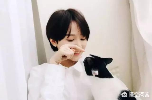 无锡 宠物摄影:怎样才能给宠物拍出美美的照片？ 无锡宠物摄影工作室