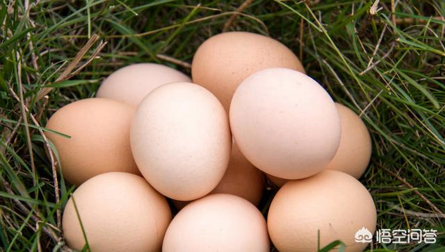 小孩吃鹌鹑蛋会早熟吗，宝宝可以每天吃鹌鹑蛋吗？