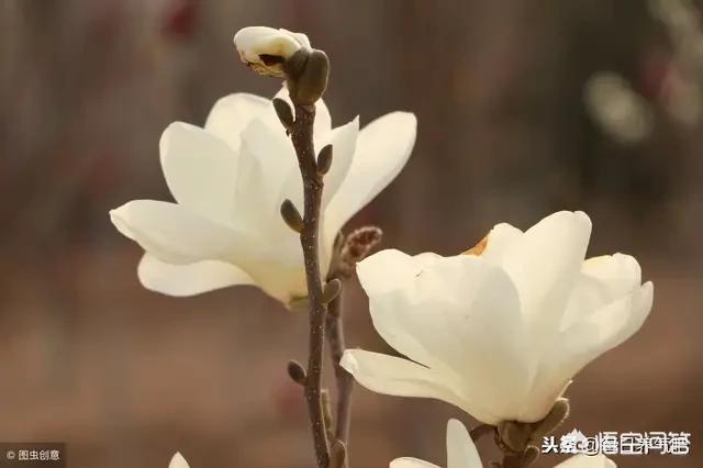 现在怎么感觉自己越活越像极了自己当初所讨厌的样子了？