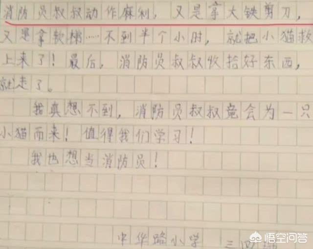 消防员救狗跳粪坑:怎么看待兰州突降暴雨，消防员营救“巨婴”？