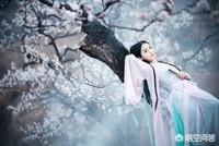 如何评价柳永？