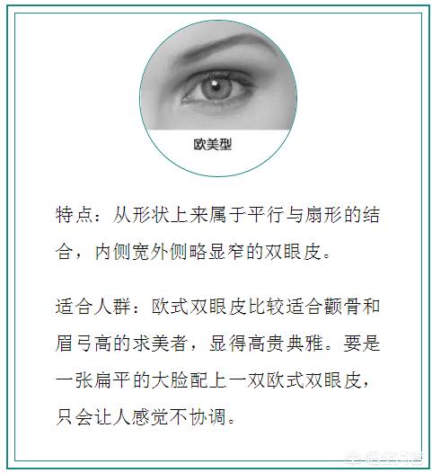 杏仁眼什么样子:泰迪犬是不是纯种的，从什么地方能看出来？