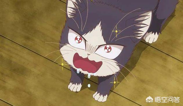 头条问答 同居人是猫 想知道看猫片的男生多还是女生多 ๑ ー ๑ 5个回答