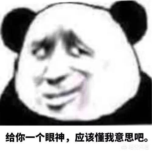 dnf大龙猫的漫游换装:漫游的换装109%与107%差多少？