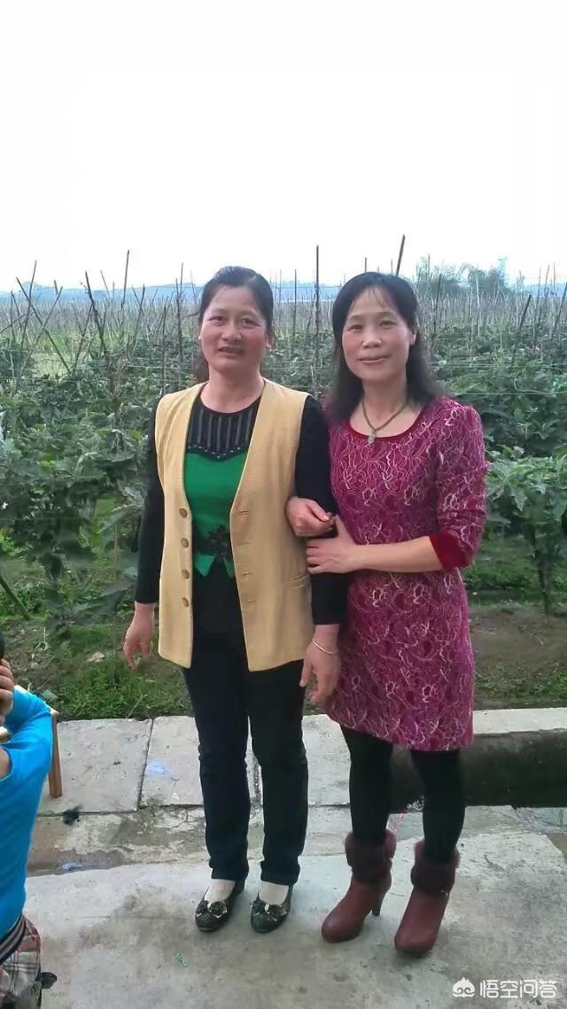 做为小姑子真的不能和嫂子和平相处吗？