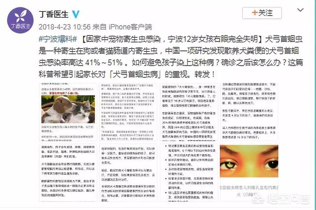 幼犬驱虫要注意什么:春季给狗狗驱虫需要注意什么？