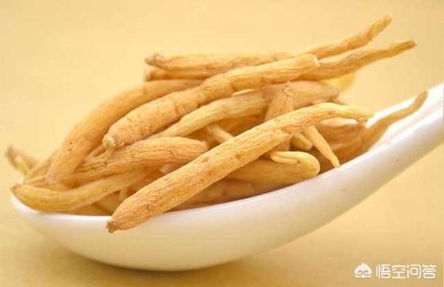 太子参的功效(太子参的功效与作用与主治)