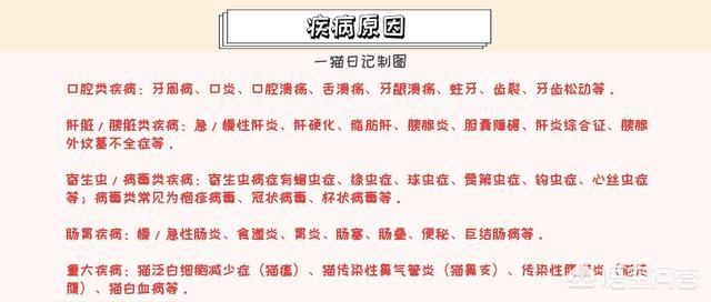 异国短毛猫肠胃弱:异短吃什么会变重，异短吃什么补充营养？