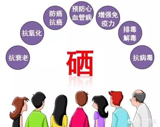 纯黑色土猫:哪种猫粮比较适合土猫吃？ 纯黑色土猫是什么品种