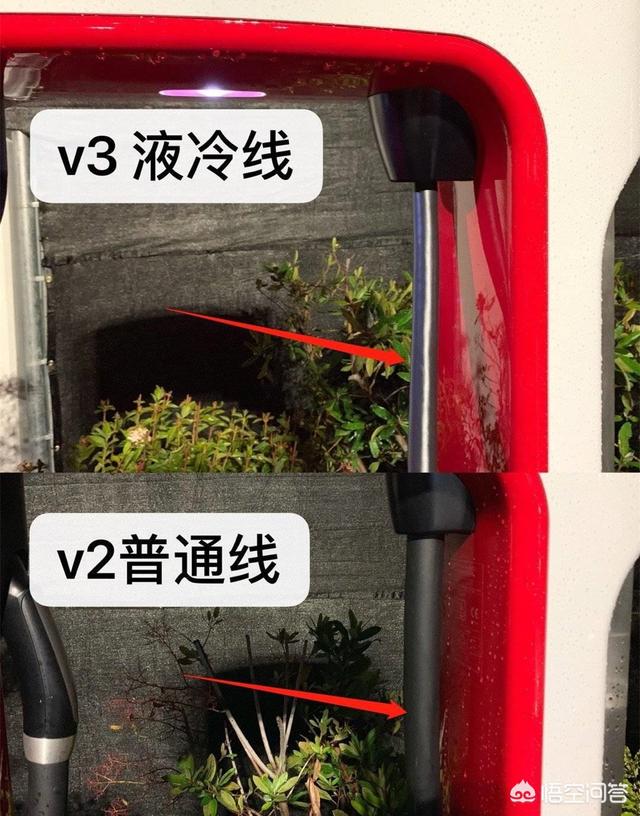 香港电动汽车，英菲尼迪总部为什么在香港？