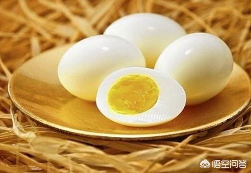 雪纳瑞论坛:如何正确的通过寻狗启示把走失的毛孩找回家？