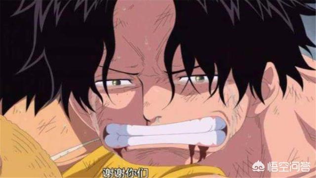 山治为什么和路飞打,同为路飞的左膀右臂!