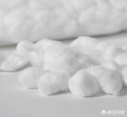 人眼角有白色分泌物图片:兔子眼睛有白色粘液睁不开是什么原因？