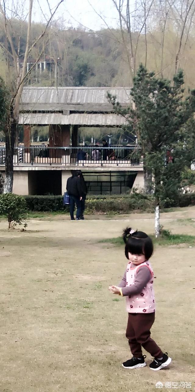 如果去野外尬游,运气好捡到十几公斤重狗头金或是几十斤重陨石,怎么处理？