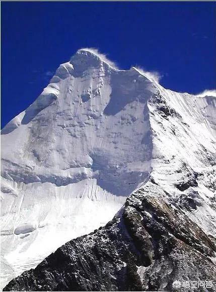 高山金翅雀图片:鸟最高能飞多少米？哪种鸟类飞的最高？