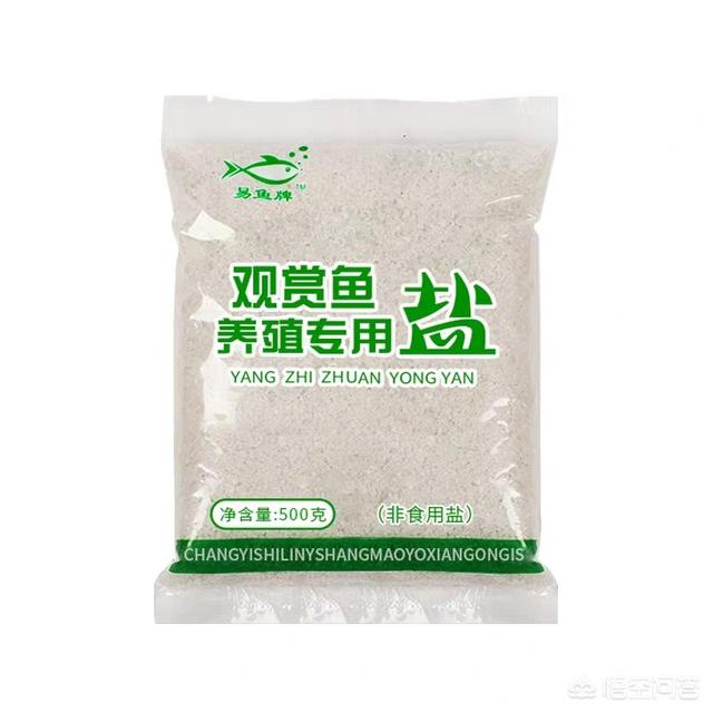 观赏水族疾病防治学:水族箱如何消毒，鱼病如何防治？