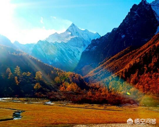 出去旅游,为啥越来越多的人选择自由行？