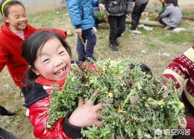 在农村挖野菜吃时,应注意些什么？有哪些野菜哪些人不能吃？