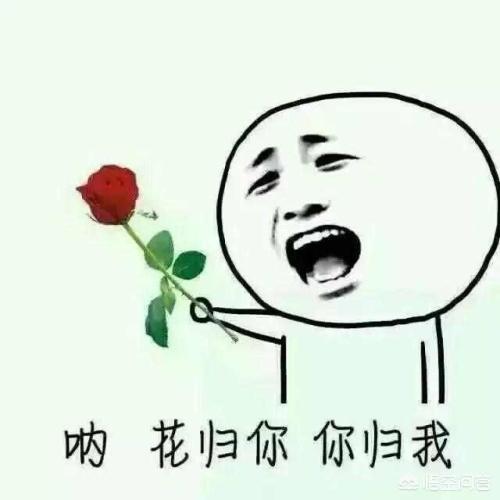 想撩喜欢的人有什么办法呢