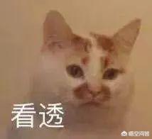 娱乐圈的锦鲤有哪些？
