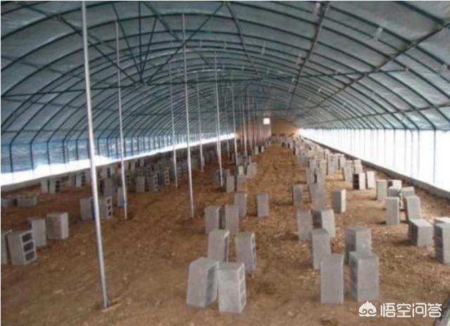 正直爱洁蟹浙江有吗:螃蟹“烂市”？年年火爆最近为何滞销？