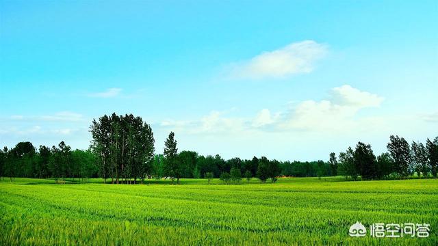 中原是指哪些地方,古代中原地区的范围有多大？