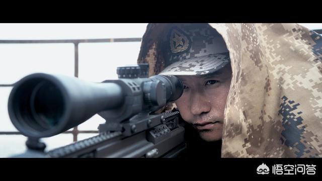 战狼好看吗:你觉得《流浪地球》和《战狼2》哪部更好看