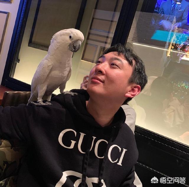 王思聪骂过的人:王思聪被花千芳怼的不坑声，你怎么看