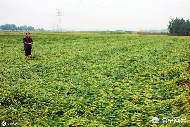 穆熙妍微博础稳定:穆熙妍参加内地综艺 长期靠灵感写作，灵感会不会枯竭？