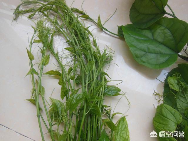 一种叫“鲇鱼须”的野菜怎么做好吃？
