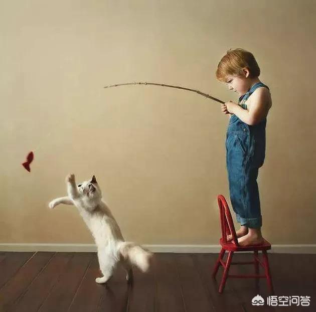 萨凡纳猫萌宠成长记:女铲屎官让孩子和猫咪在一起生活遭谩骂，小孩真不能与猫生活吗？ 萌宠成长记萨凡纳猫喂奶