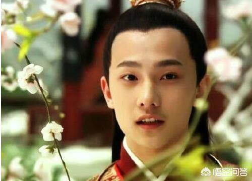 新红楼梦杨洋:红楼梦导演怎么评价杨洋？