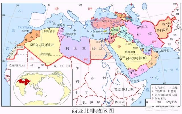 不是以色列沙皮狗的错:电视剧《想明白了再结婚》中有哪些经典的台词？ 以色列沙皮狗