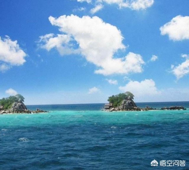 海鱼图片:海鱼图片大全及名称 你们家乡有什么好吃的鱼？