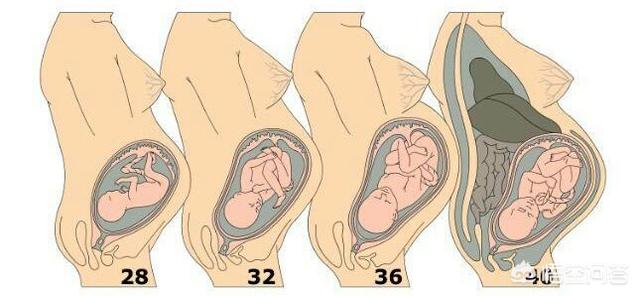 孕妇怀胎几月才能分娩:孕妇几个月分娩最好 女人一般怀孕多少天生娃？