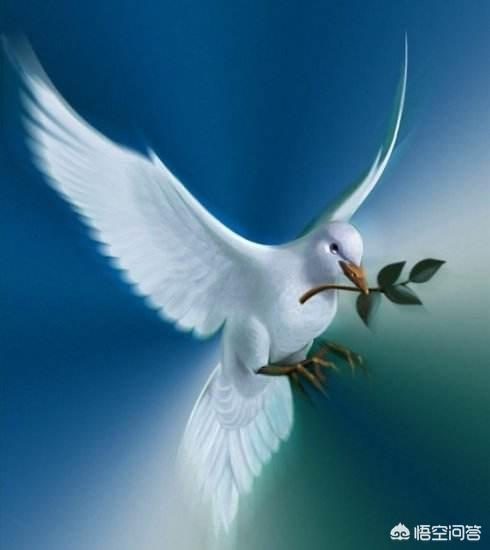 历史上有哪些著名的飞鸽传书事件?大家好,我是以史为鉴.