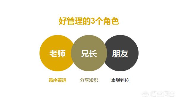 如何实现有效的团队管理？