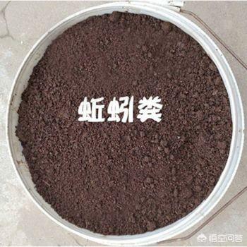 农安实验动物用品经销部:为什么蚯蚓粪在市场上销售不好？