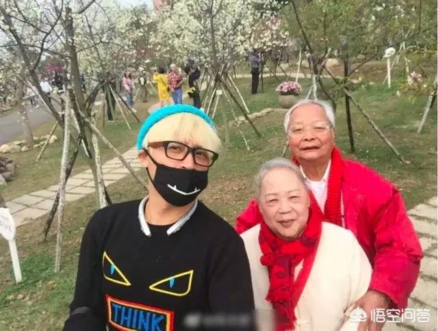 陈志朋八卦:陈志朋奇装异服又续约了吗