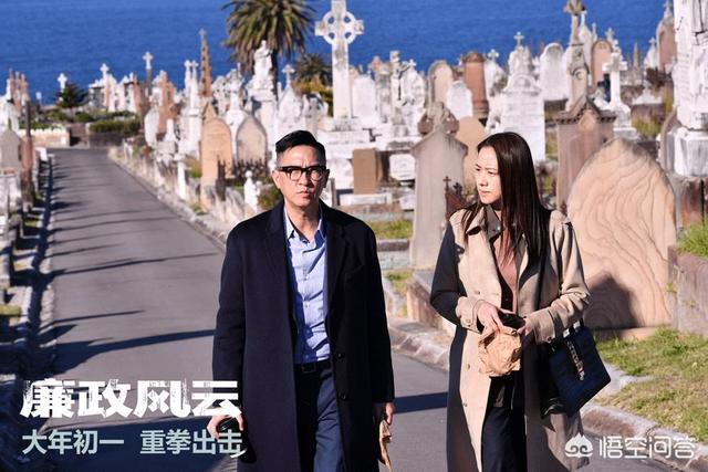 观鸟大年主演:电影《廉政风云》中有哪些容易忽视的细节？