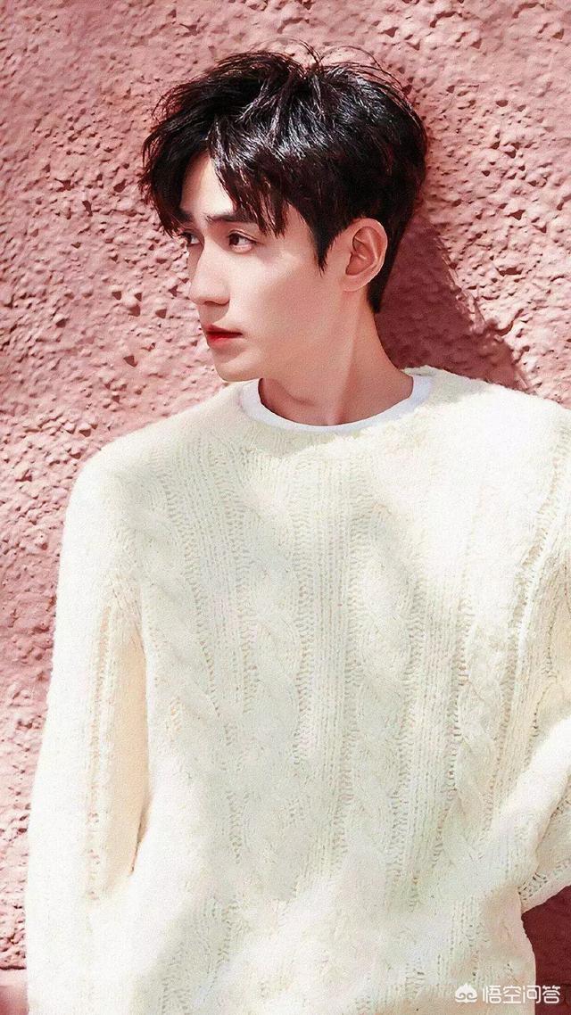你所喜爱的十大男星是谁？为什么是他？