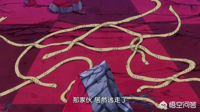 波克慕斯:《海贼王》中狮子乌龟波克慕斯没有布林凭什么出现在镜子世界？