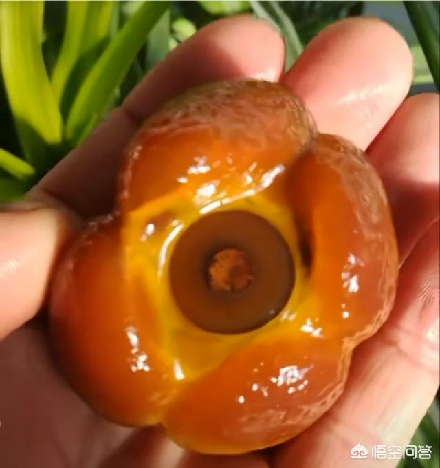 玉有哪些品种,什么是玉石？玉石的种类有哪些？