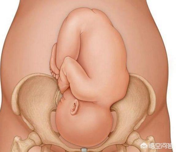 怀孕快生了有什么征兆呢?-生活百科