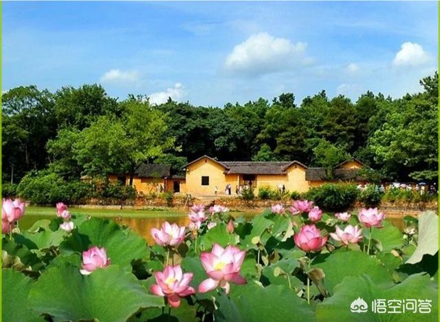 过年适合去哪里旅游(过年的时候适合去哪里旅游)