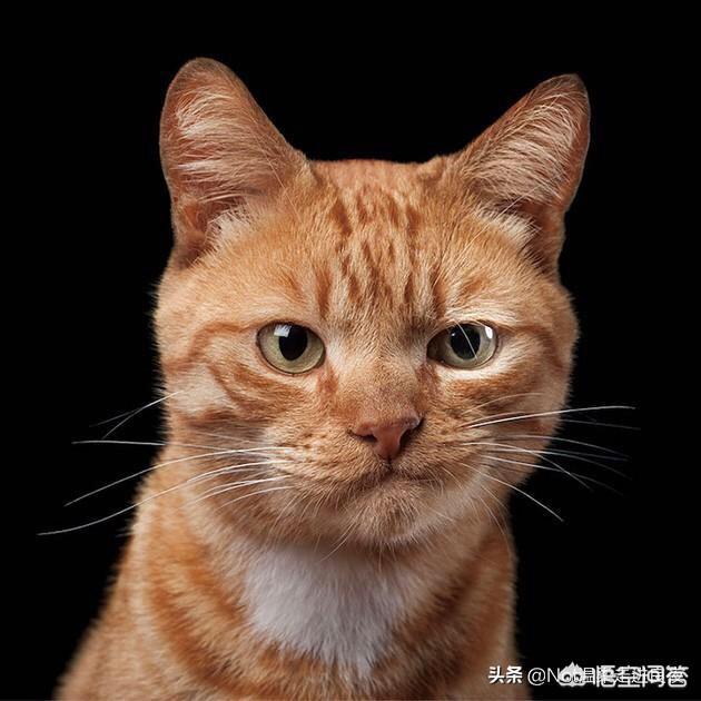 nas和小米出的2tb家庭云盘,一般家用哪个更合适、更方便？还有哪些带硬盘的路由器？