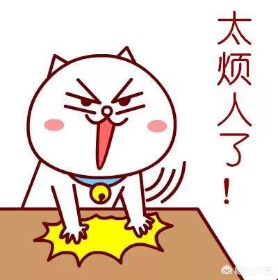 如何控制住自己想骂室友的情绪？